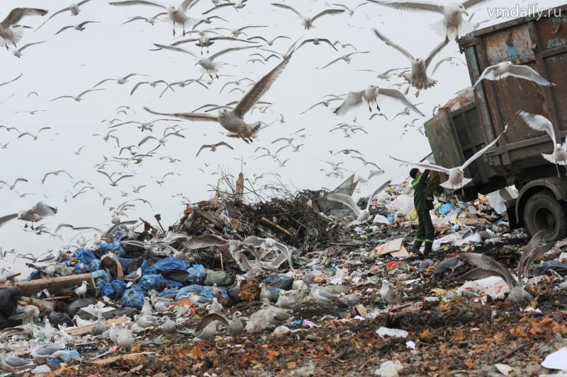 Новые территории избавят от мусорных полигонов