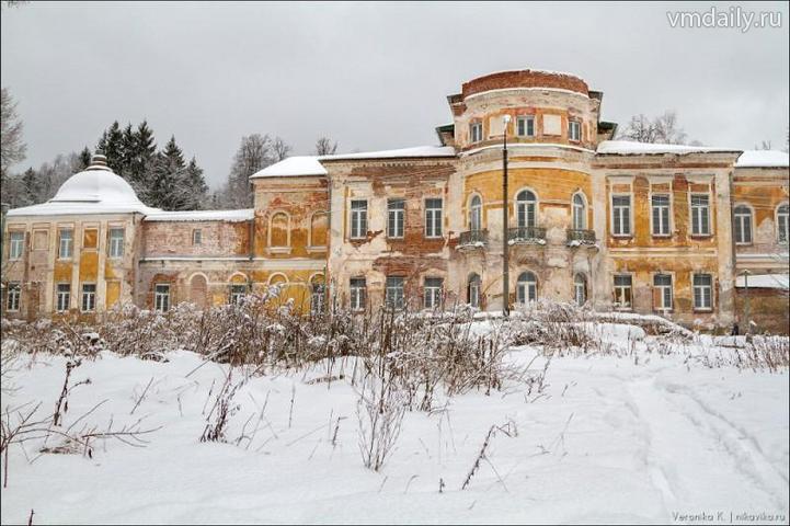 Под сенью пихт и кедров в Шишкином Лесу