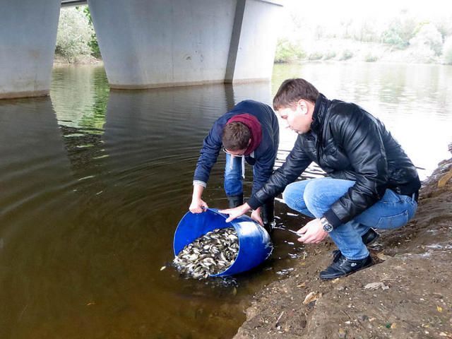 Пахру и Десну заселили мальками сазана