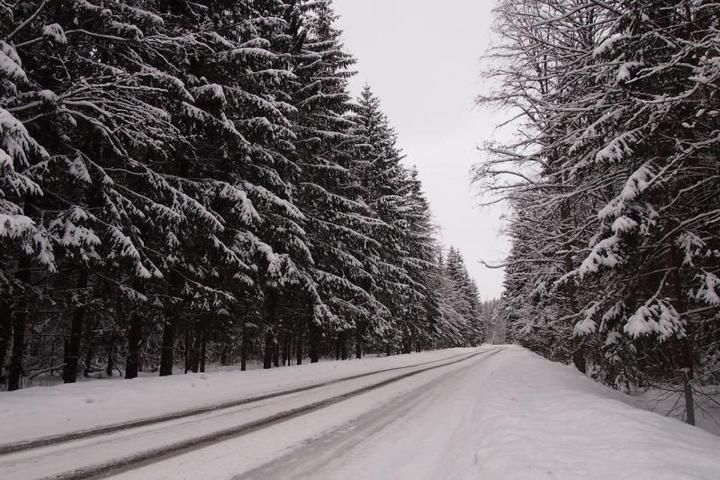 Фото — занимательный досуг, формирующий социальную позицию