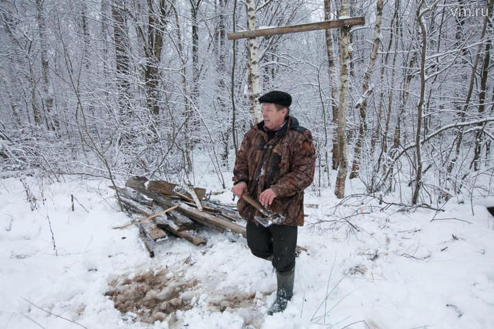 В поселении Внуковское пройдет санитарная вырубка сухостойных деревьев