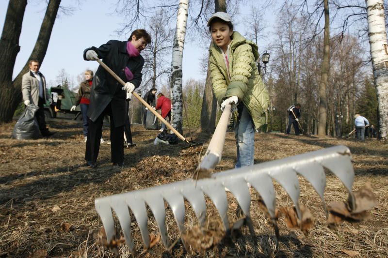 На субботнике в поселении Роговское высадили более 200 деревьев