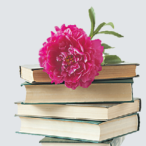 Книги, цветы и ароматная трава