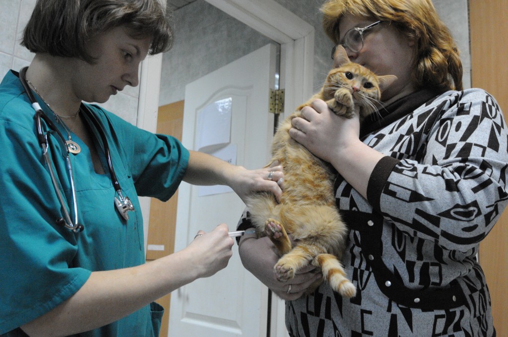 В Роговском вакцинируют домашних животных