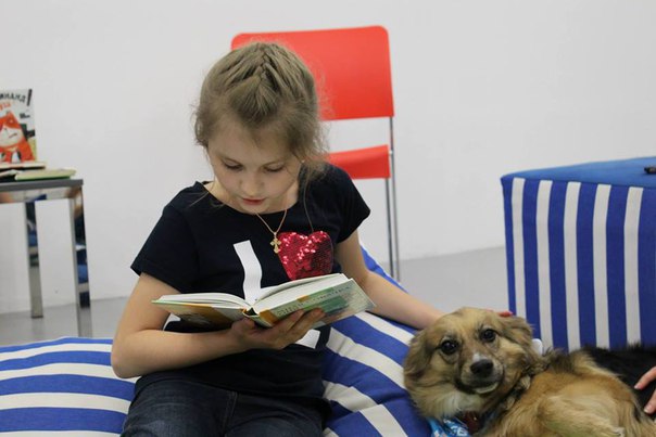Гости библиотек Новой Москвы смогут почитать сказки... собакам