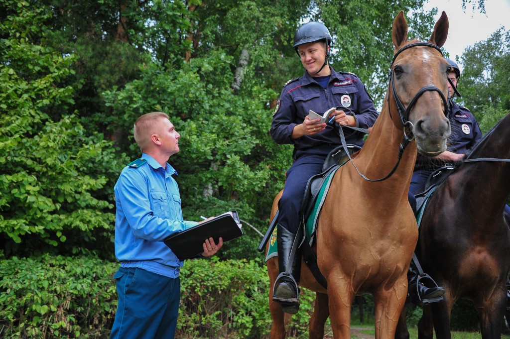 В парках Новой Москвы начнут работу конные патрули