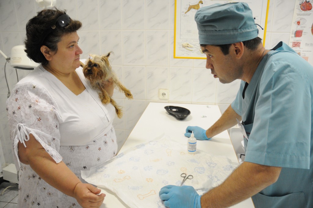 Администрация Кокошкино проведет вакцинацию животных