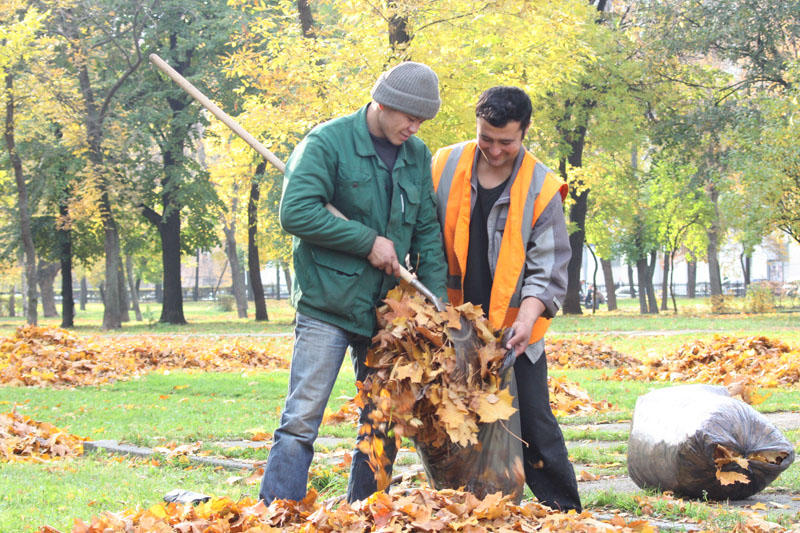 Москвичи проголосуют за частоту уборки листвы во дворах