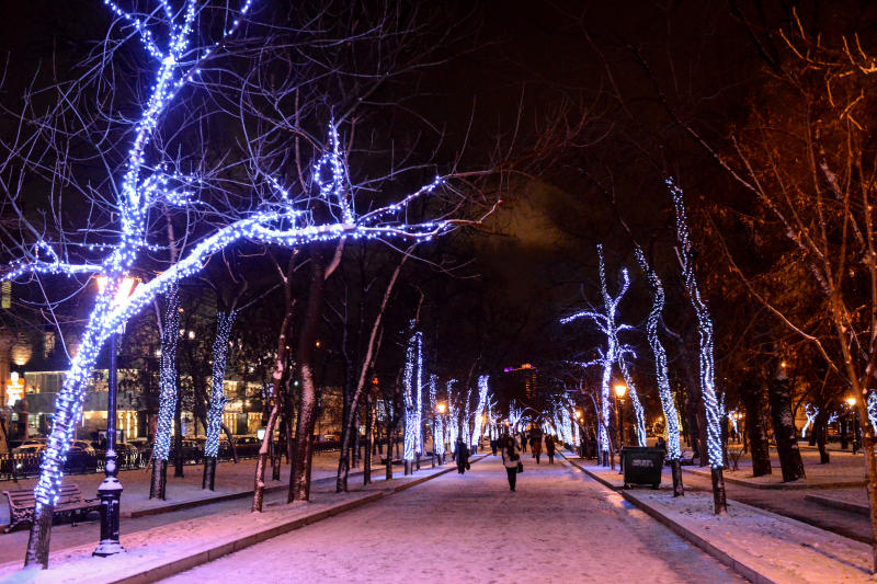 «Активные граждане» выбрали цвет зимней городской подсветки