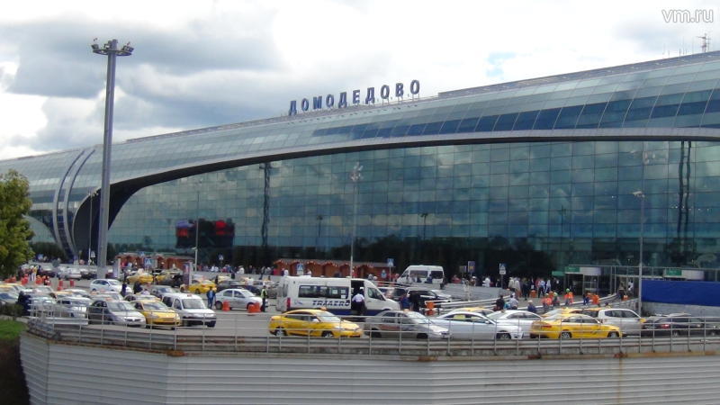 В аэропорту Домодедово задержали гражданина Греции с культурными ценностями 19 века