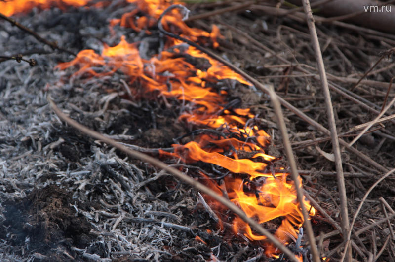 Сжигание сухой травы запретили на законодательном уровне