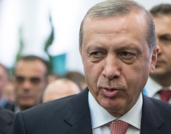 Президент Турции Эрдоган мог отдать приказ сбить Су-24