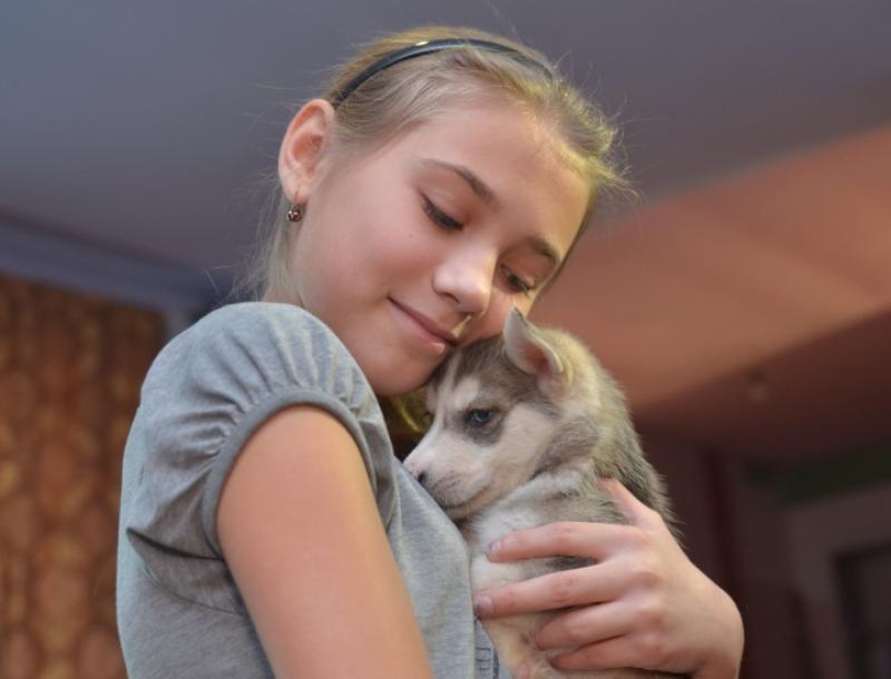 Президент России подарил девочке из Хакасии маленького хаски