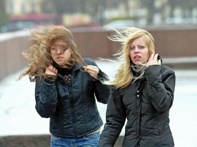 МЧС предупредило об усилении ветра в столице