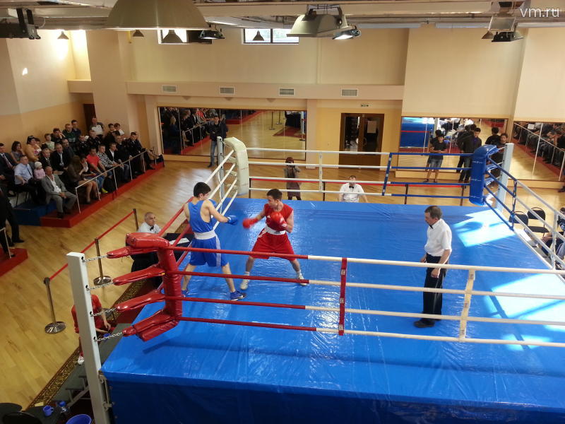 Школа бокса Роя Джонса может появиться в Одинцовском районе