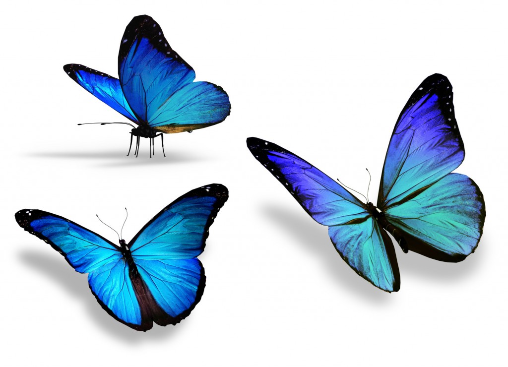 Эффект синей бабочки