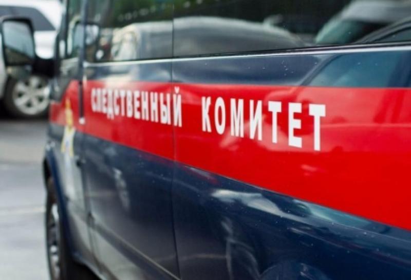 Следственный комитет возбудил уголовное дело по факту убийства в Новой Москве