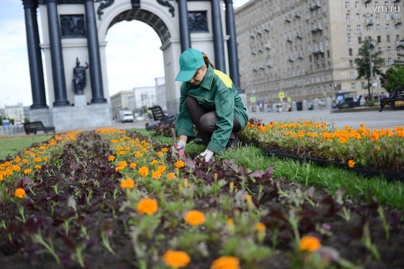 У москвичей появится возможность выбрать цветы для украшения города