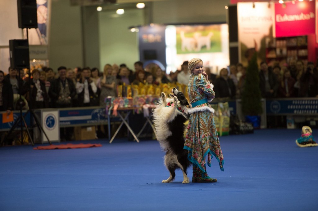 Москва впервые примет чемпионат мира по танцам с собаками