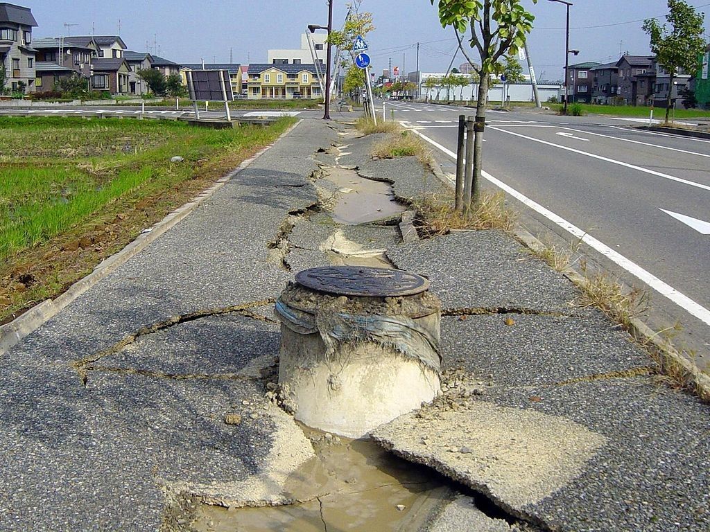 Девять человек погибли в результате землетрясения в Японии