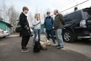 Сожгу листья. Дорого.
