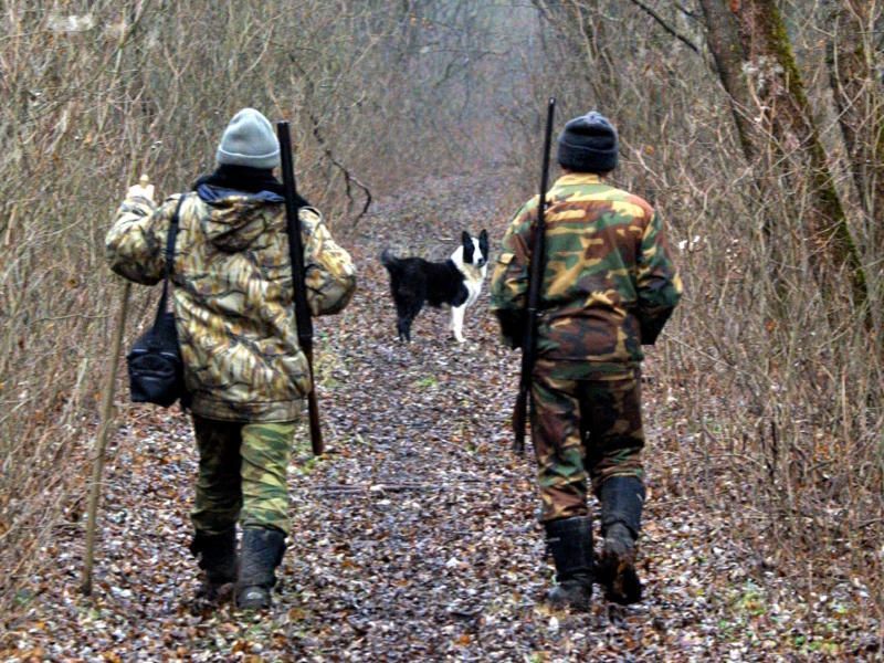 Сезон охоты на дичь откроется в Подмосковье 16 апреля
