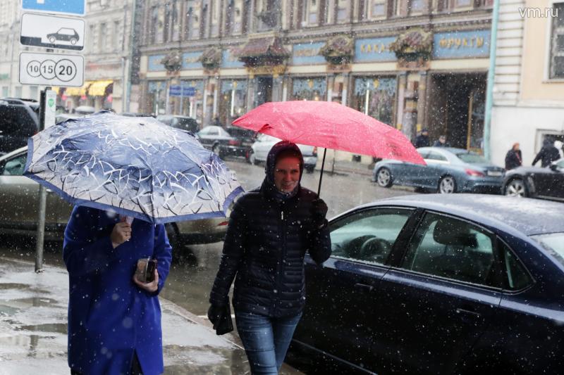 В Москве пройдет мокрый снег с дождем