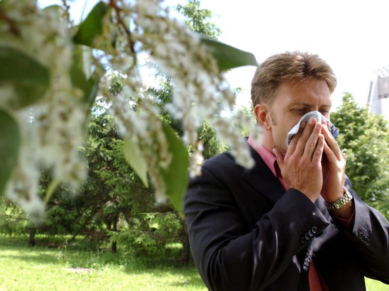 Всплеск сезонной аллергии на пыльцу зафиксирован в Москве