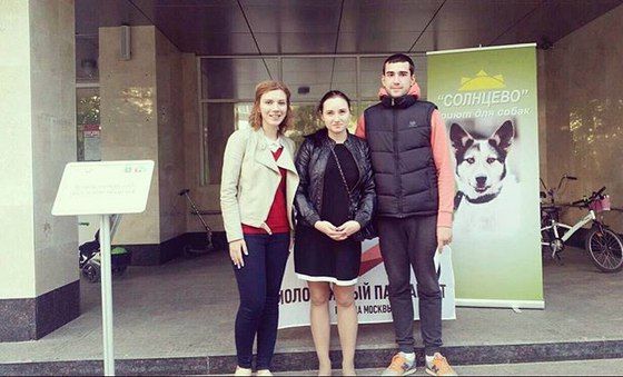 Молодежная палата Сосенского собрала корм для бездомных собак