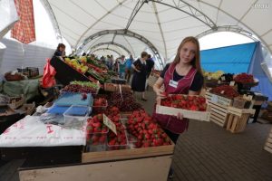 В июне торговать свежей клубникой начнут на 135 площадках в Москве