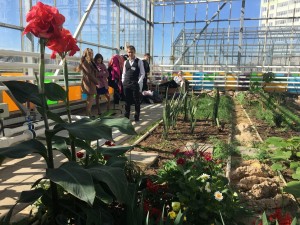 Весеннее цветение: школьная оранжерея в Новых Ватутинках откроет двери для гостей