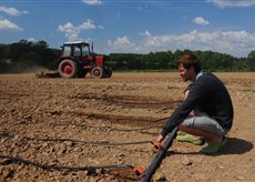 Фермер Павел Таран экспериментирует над капустой