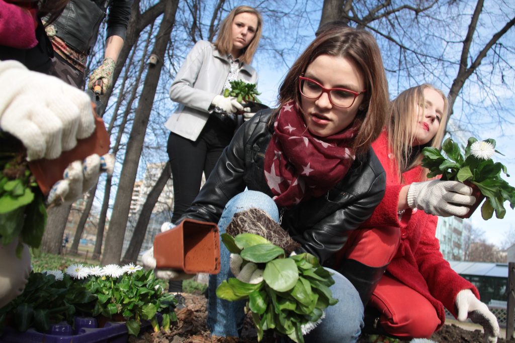 Сервис по обмену домашними растениями появился на юго-западе Москвы