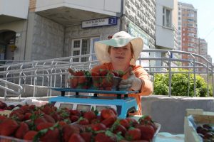 1 июня 2016 года. Московский. Марина Атапина рада торговать краснодарской клубникой