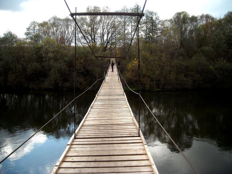Подвесной мост построят в парке Сокольники