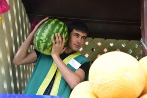 18 августа 2016 года. Рассудово. Продавец официального развала Мухамад Пиров выбирает арбуз для "Новых округов".