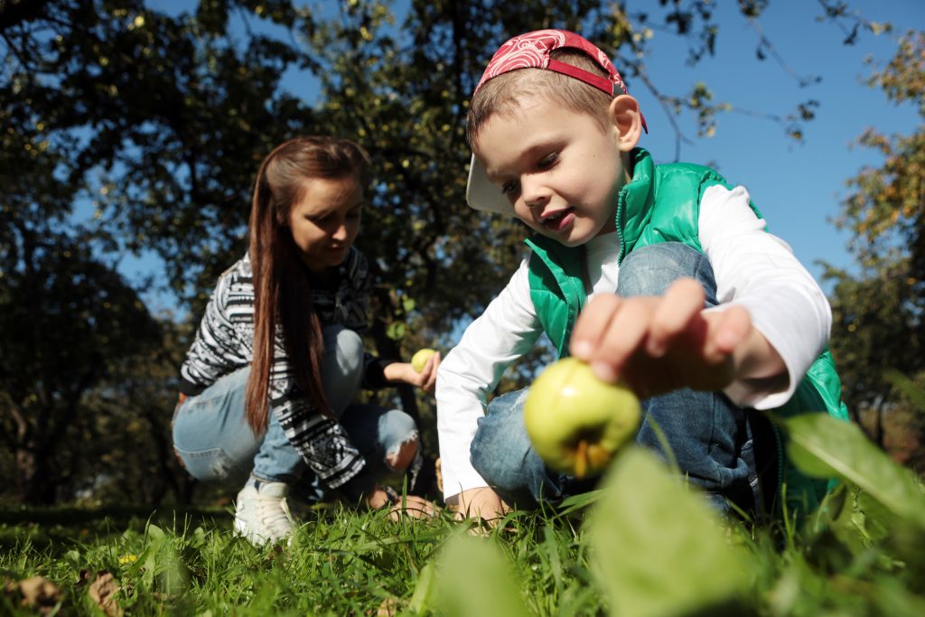 Дошкольники из Щербинки собрали овощи и фрукты для животных