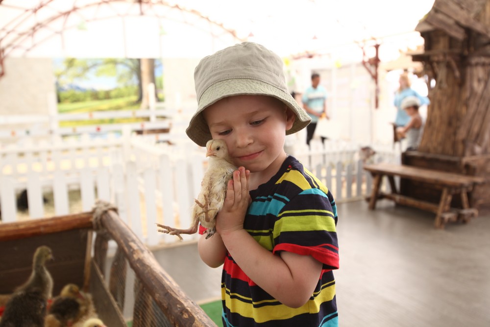 Московский зоопарк проведет детские квесты и интеллектуальные игры