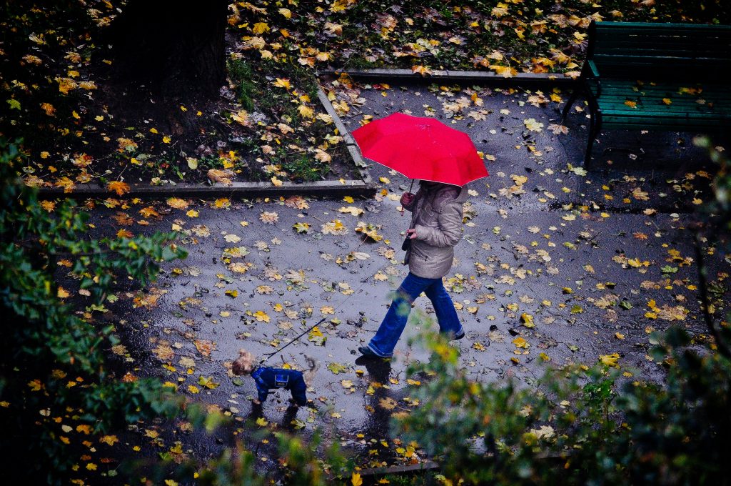 В Москве 29 сентября упадет давление и пойдет дождь