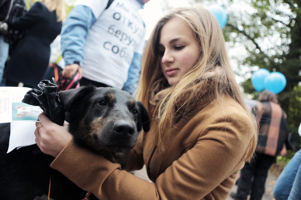 Читатели ватитунской библиотеки пообщаются с собаками из приютов. Фото: архив "Вечерней Москвы"