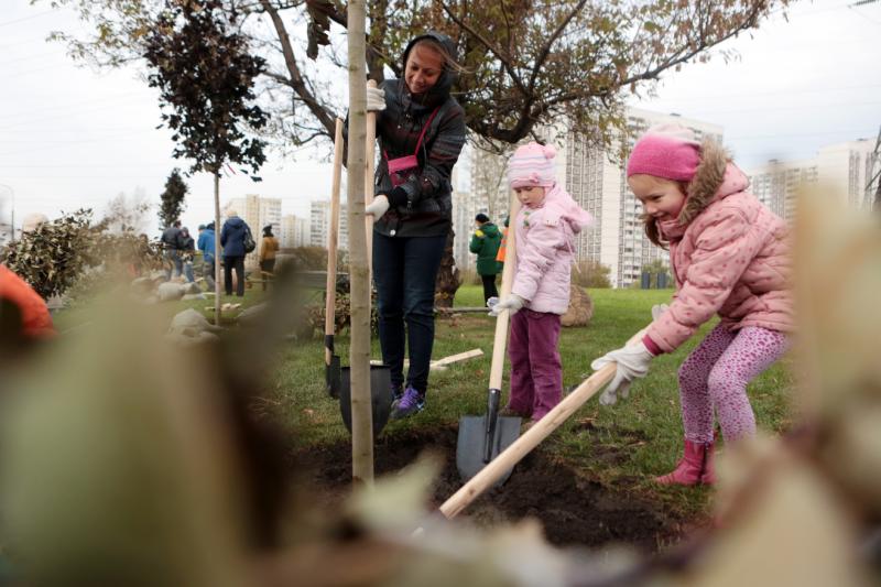 Волонтеры вместе с детьми филимонковского интерната высадят деревья