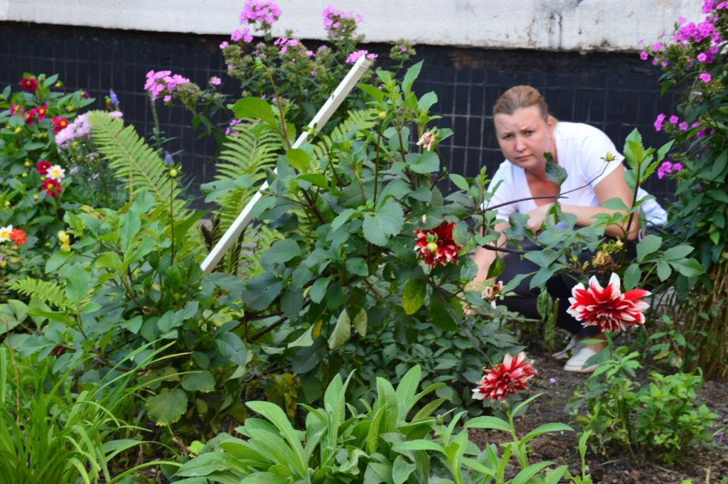 Жительница Марушкинского создала во дворе своего многоэтажного дома цветочный сад. Фото: социальные сети