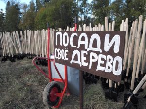 Префект посадил лес. А жители помогли. Фото: Александр Корнеев.