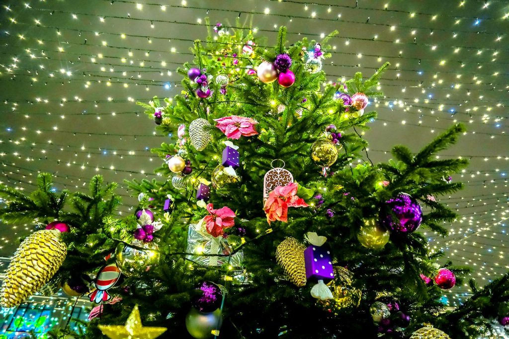 Одну из 35 столичных новогодних елок установят в Троицке