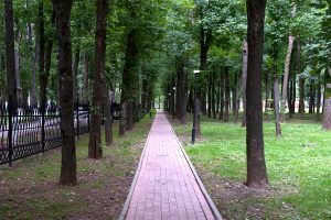 Ульяновский лесопарк обретает защищенный статус городского парка. Фото: пресс-служба префектуры ТиНАО