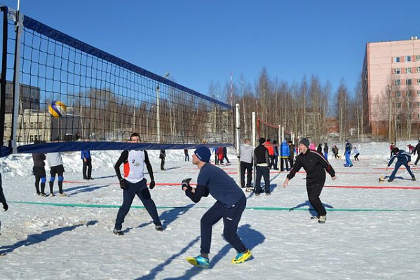 В сосенском пройдет турнир по парковому волейболу. Фото: архив, администрация поселения Сосенское