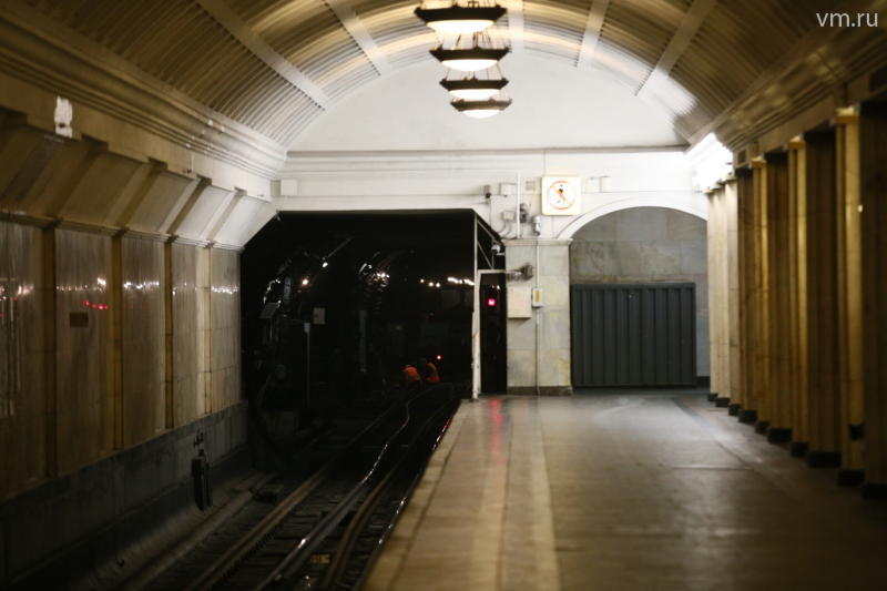 Поезд Московского метро сбил пенсионерку зеркалом