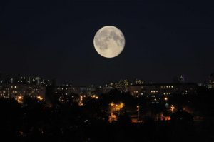 Фото: Александр Казаков, "Вечерняя Москва"