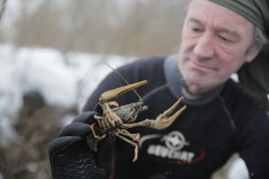 24 февраля 2017 года. Корреспондент «НО» Андрей Федоров поймал рака в реке Десне. Фото: Сергей Шахиджанян