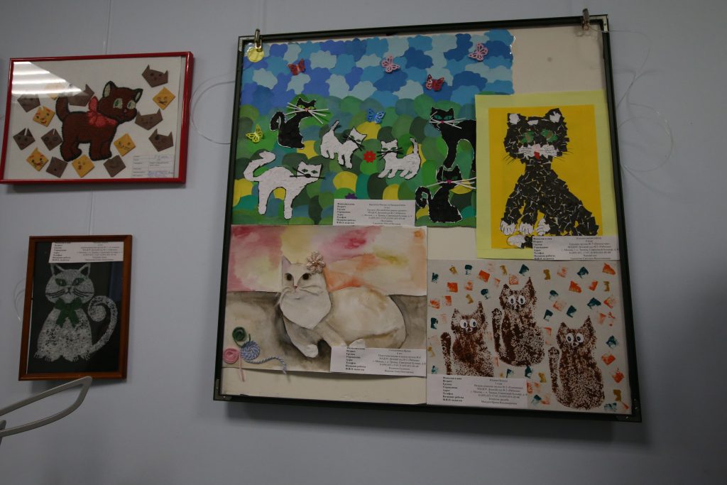 В конкурсной экспозиции были и нарисованные, и склеенные из бумажной мозаики коты. Фото: Александр Ахраменко.